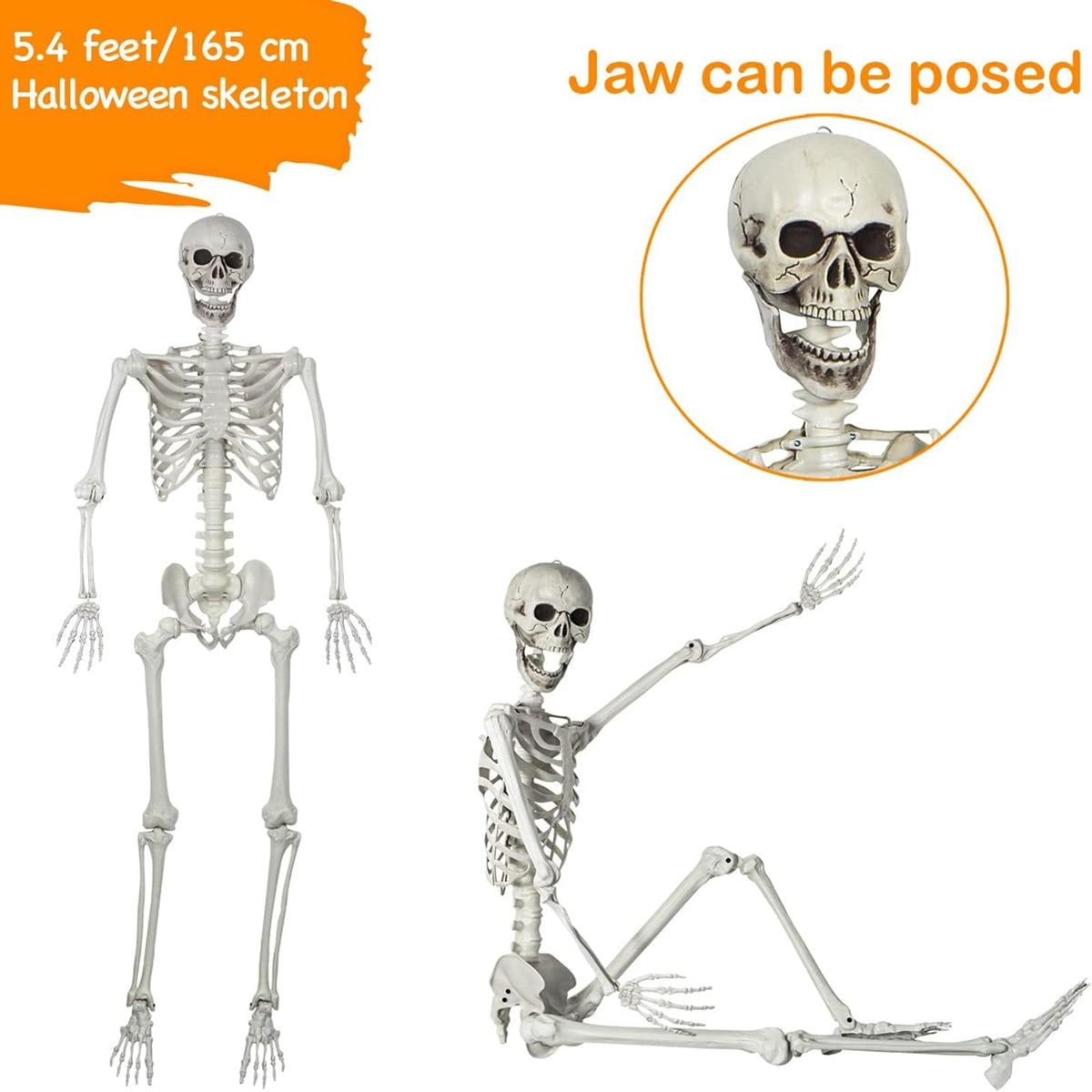 Life Size Posable Skeleton Halloween Decoration O2282