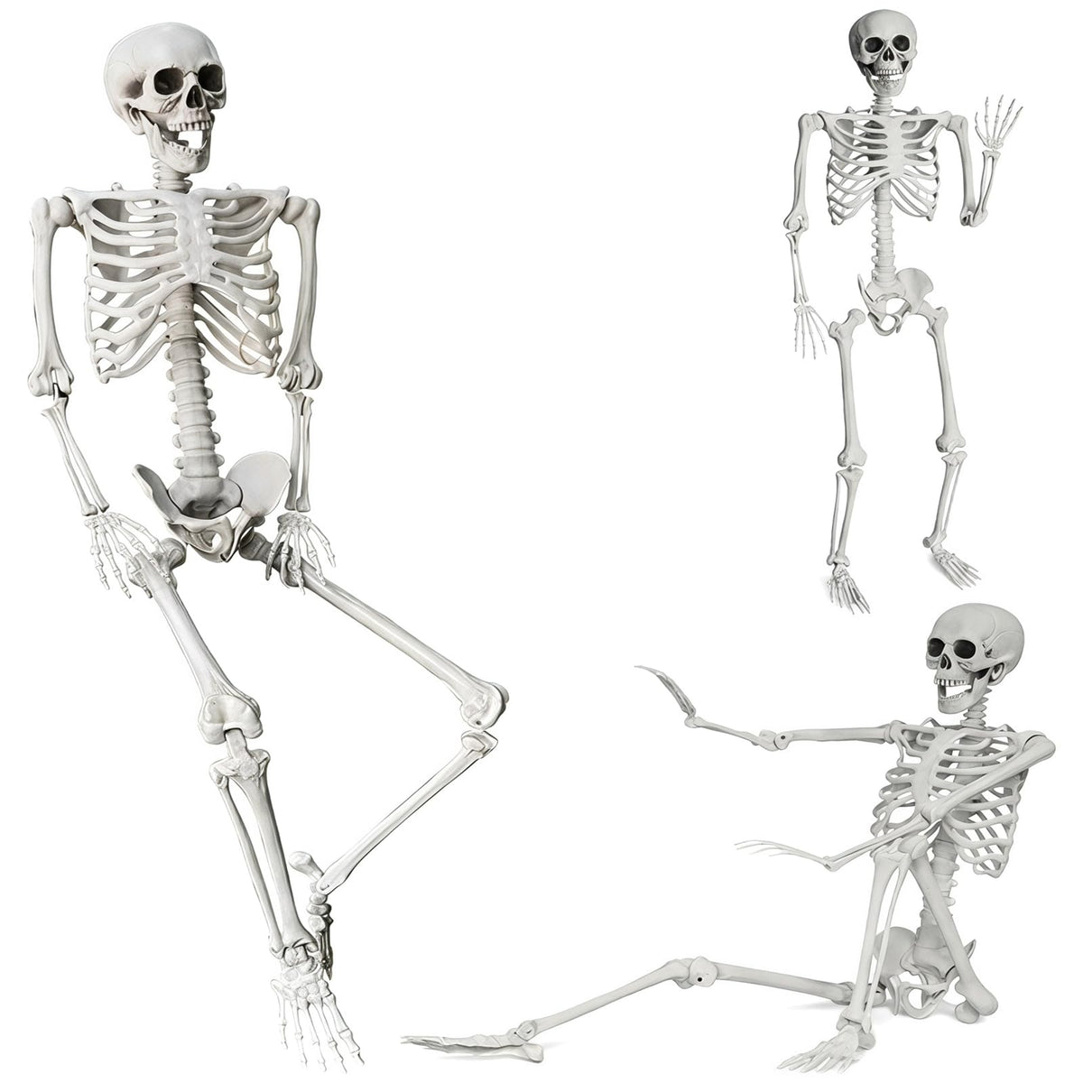 Life Size Posable Skeleton Halloween Decoration O2282