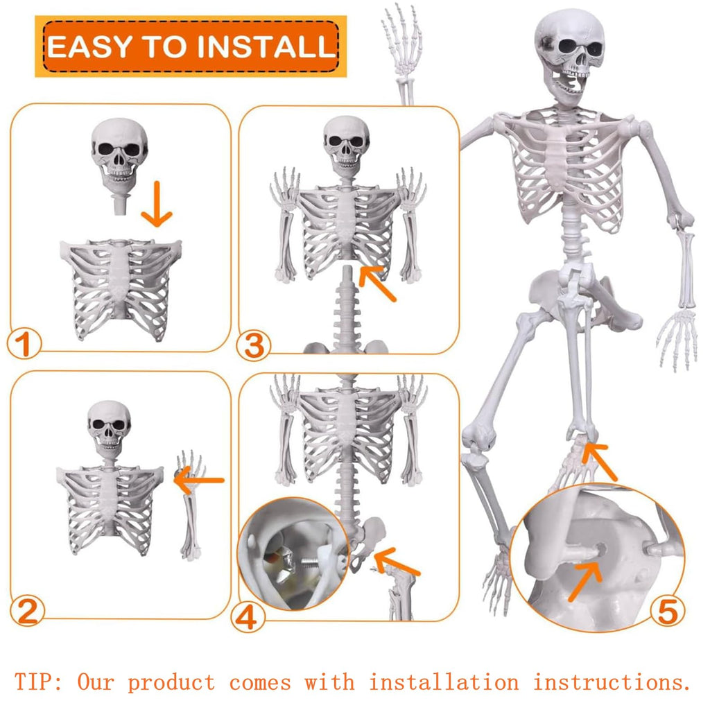 Life Size Posable Skeleton Halloween Decoration O2282