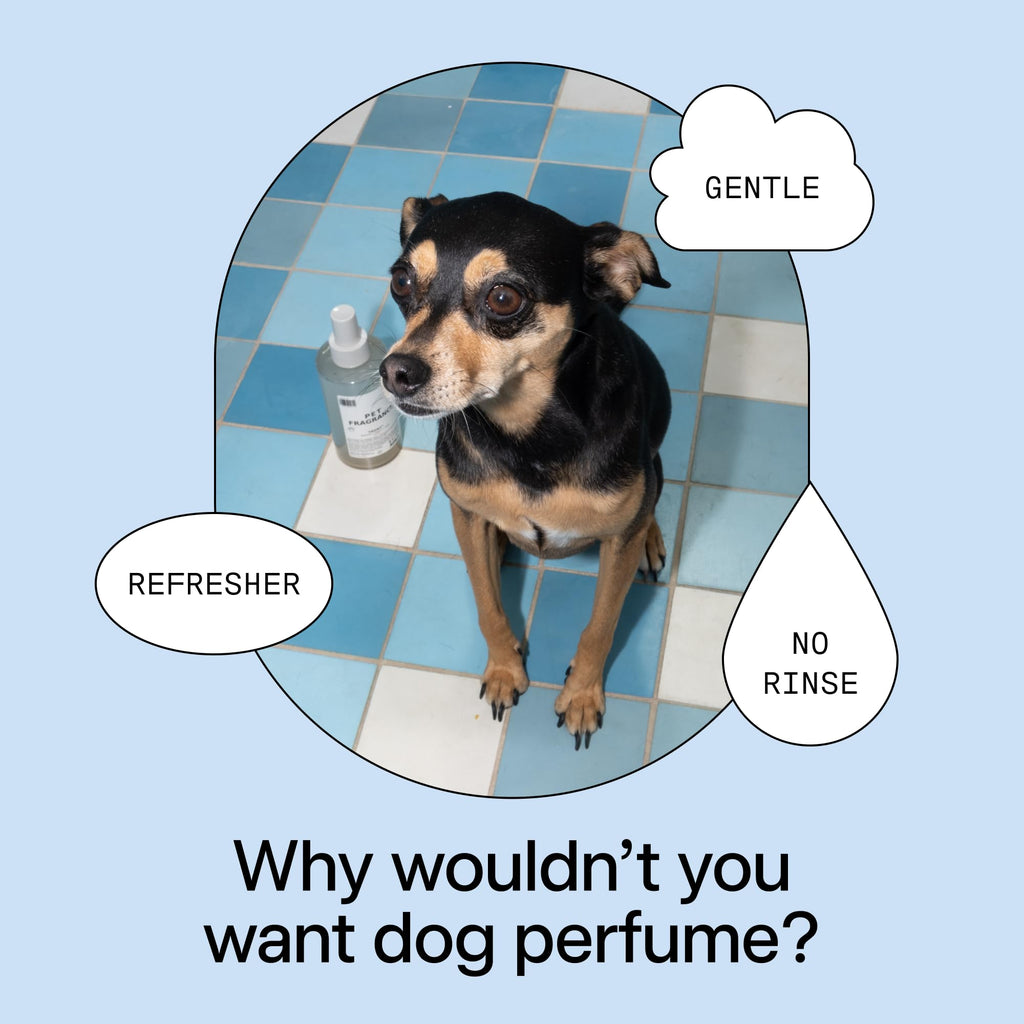 Pet Shampoo & Fragrance Bundle Dog Grooming Set D6997