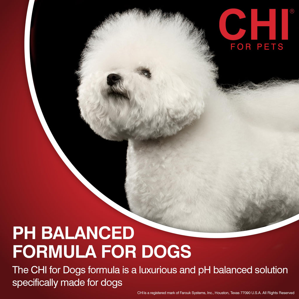 2-in-1 Dog Shampoo and Conditioner 16 Fl Oz V317576