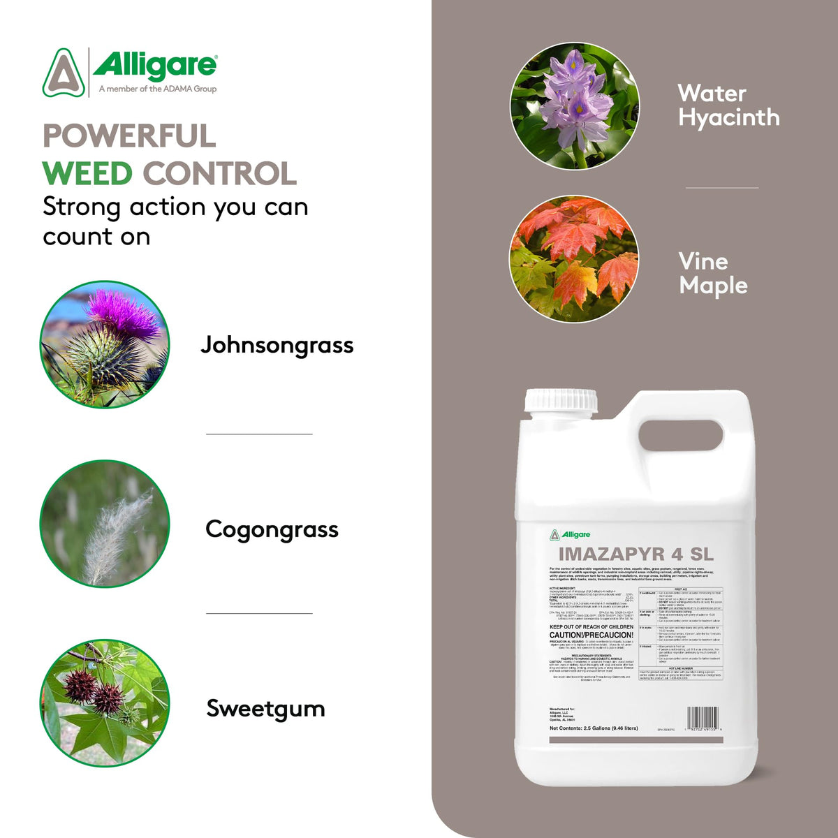 Imazapyr 4 SL Herbicide 2.5 Gallon Liquid Weed Killer C959429