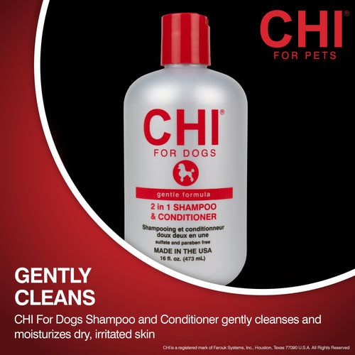 2-in-1 Dog Shampoo and Conditioner 16 Fl Oz V317576
