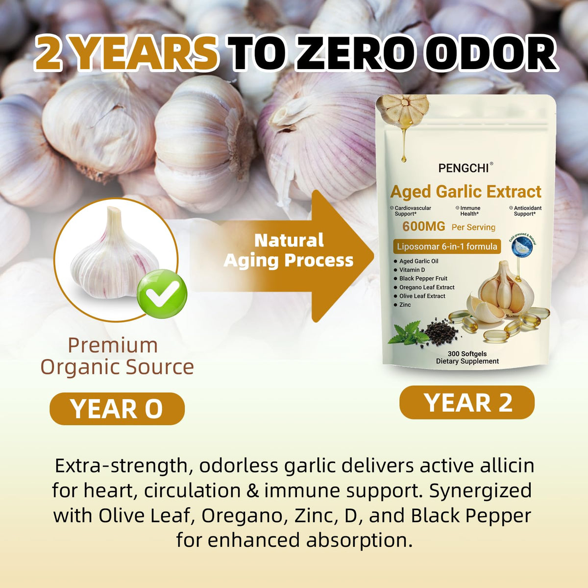 Aged Garlic Extract with Vitamin D Zinc Oregano Olive Leaf Black Pepper 300 Softgels T1041