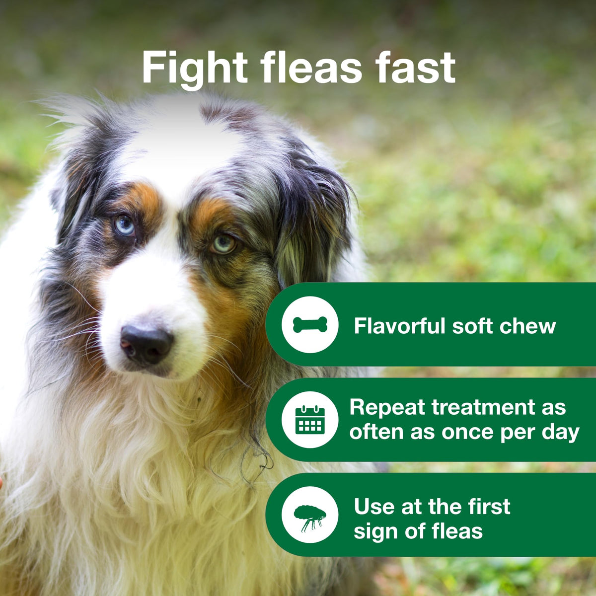 Soft Chew Flea Treatment for Dogs 23-110 lbs. 7 ct T325