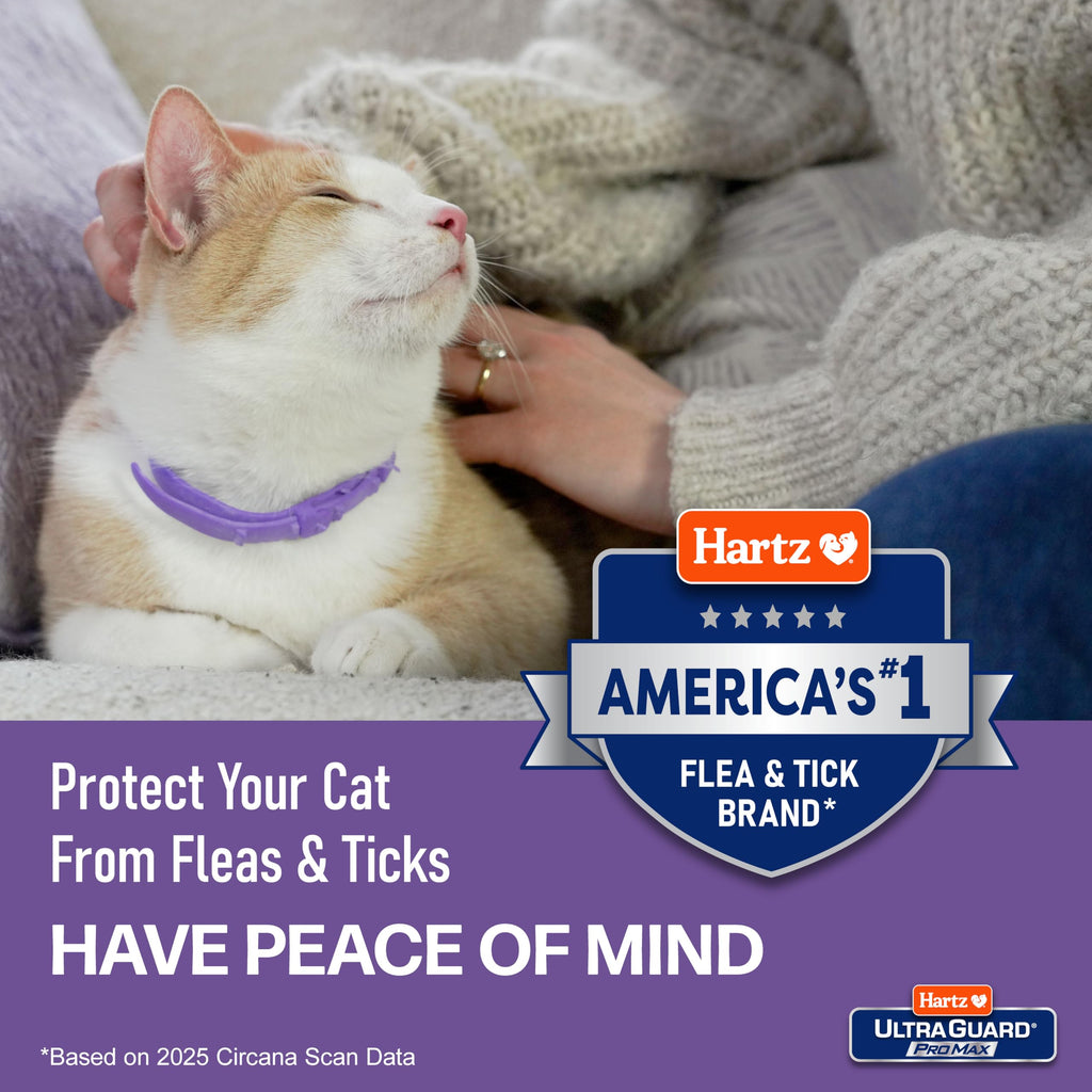 Flea & Tick Collar for Cats & Kittens 2 Pack U3607