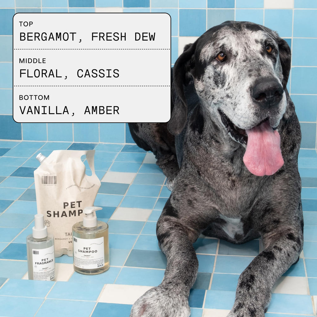 Pet Shampoo & Fragrance Bundle Dog Grooming Set D6997