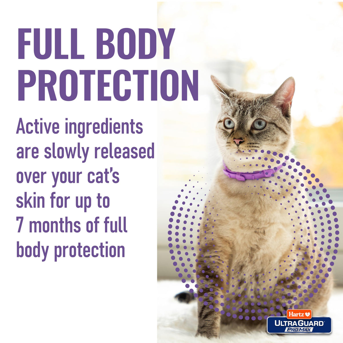 Flea & Tick Collar for Cats & Kittens 2 Pack U3607