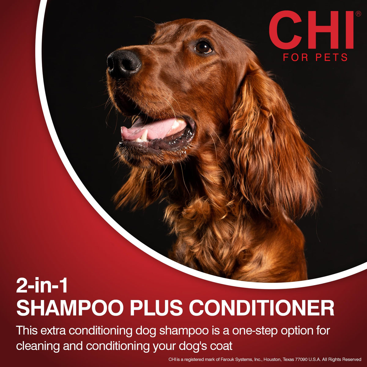 2-in-1 Dog Shampoo and Conditioner 16 Fl Oz V317576