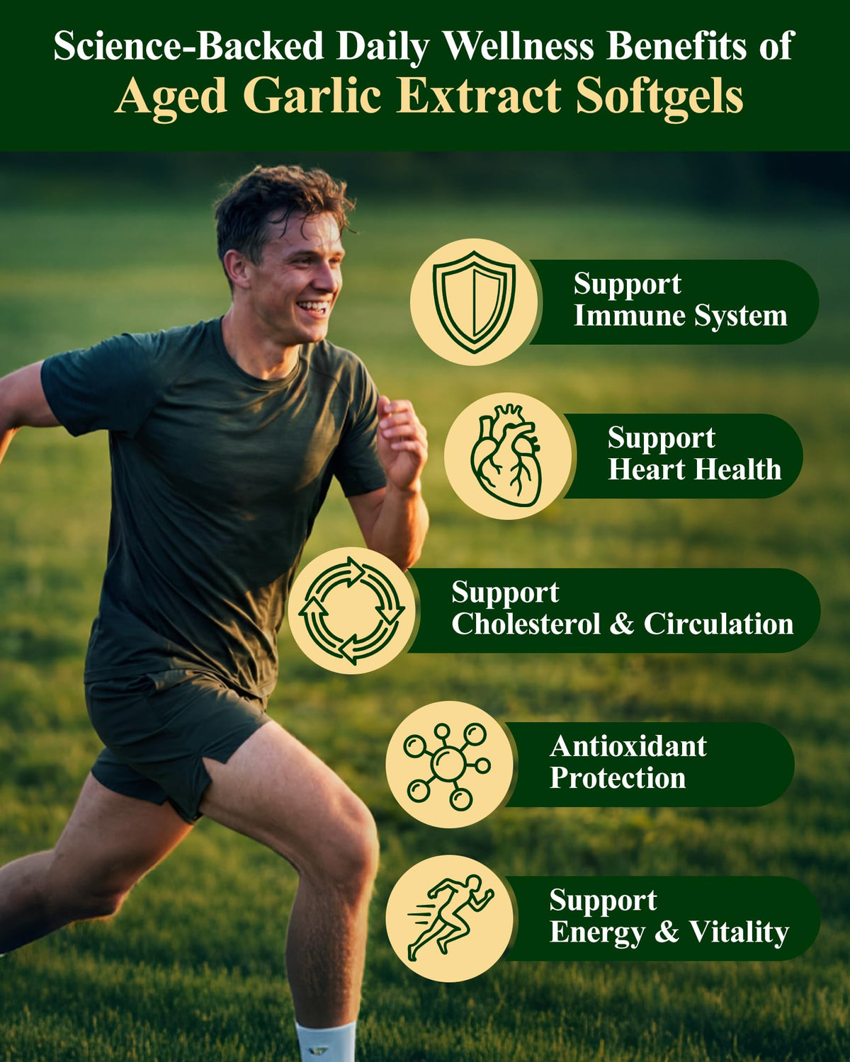 Odorless Garlic Supplement, 300 Softgels V3891