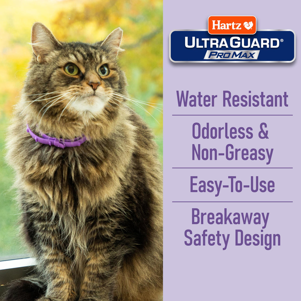 Flea & Tick Collar for Cats & Kittens 2 Pack U3607