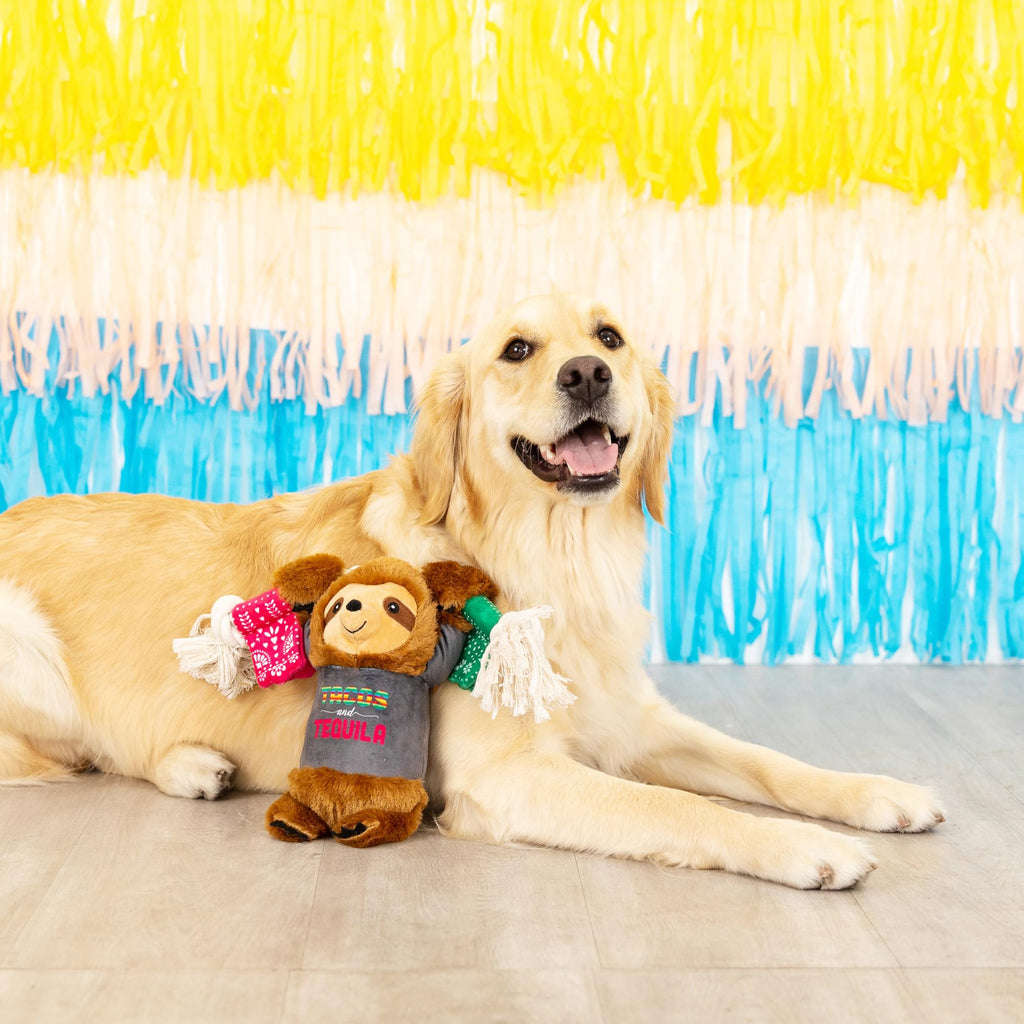 Plush Dog Toy R243
