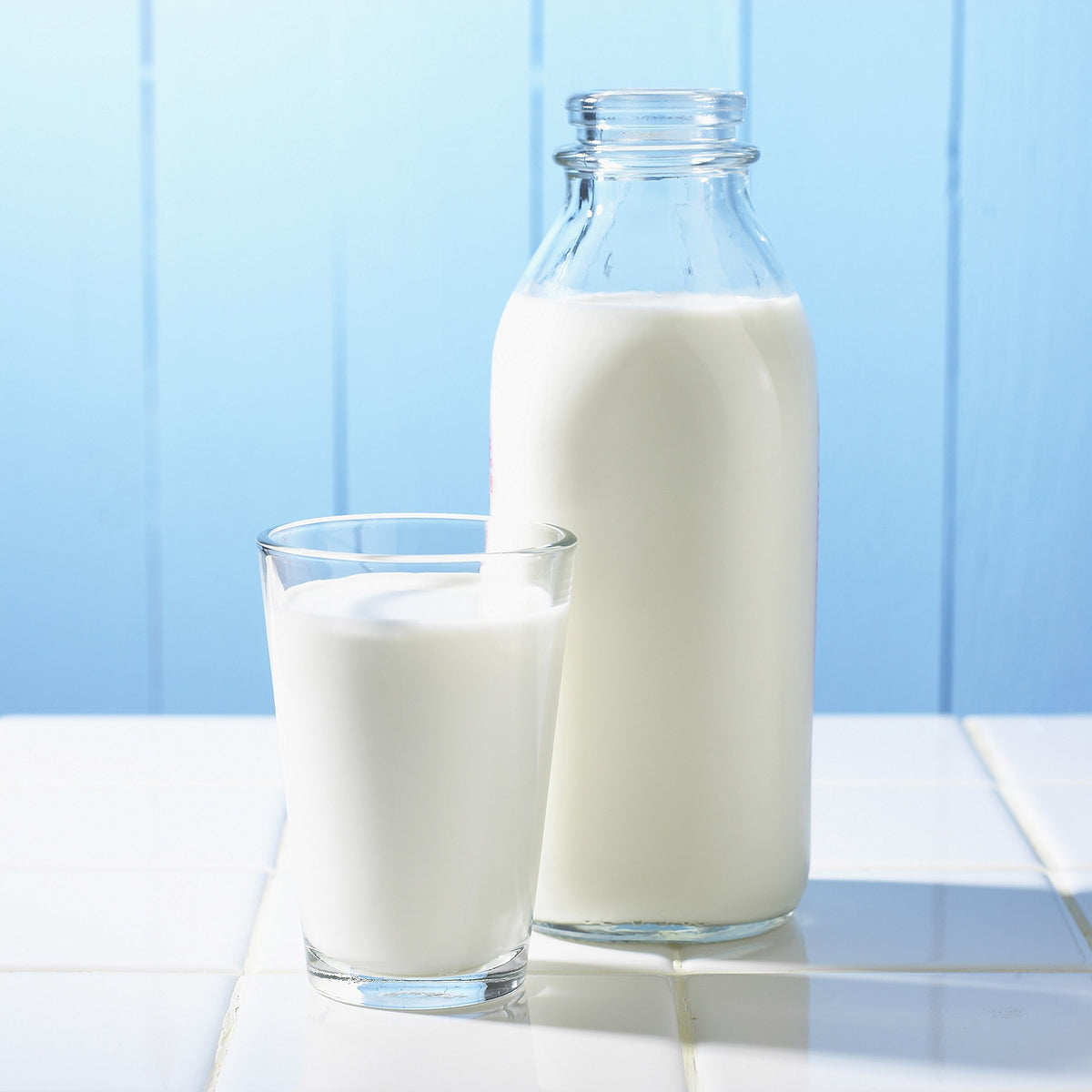 Instant Nonfat Dry Milk Powder P9356