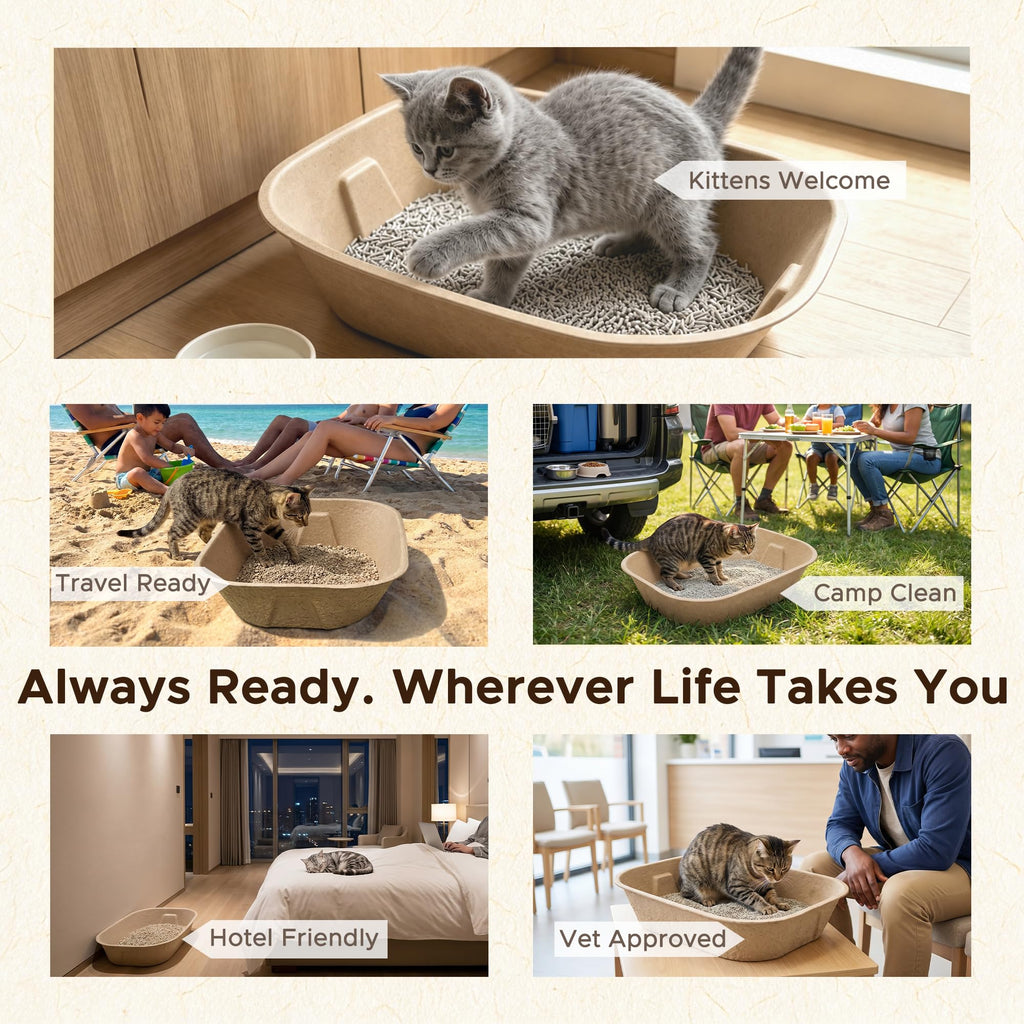 Disposable Litter Box for Kittens V3275