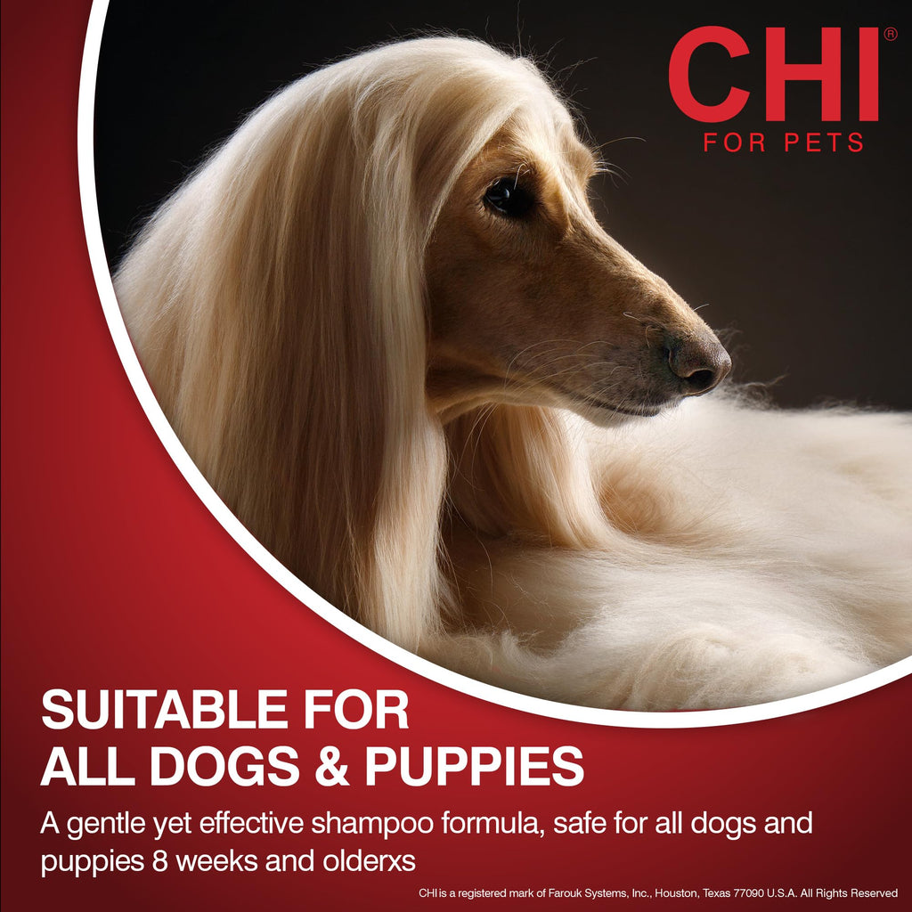 2-in-1 Dog Shampoo and Conditioner 16 Fl Oz V317576