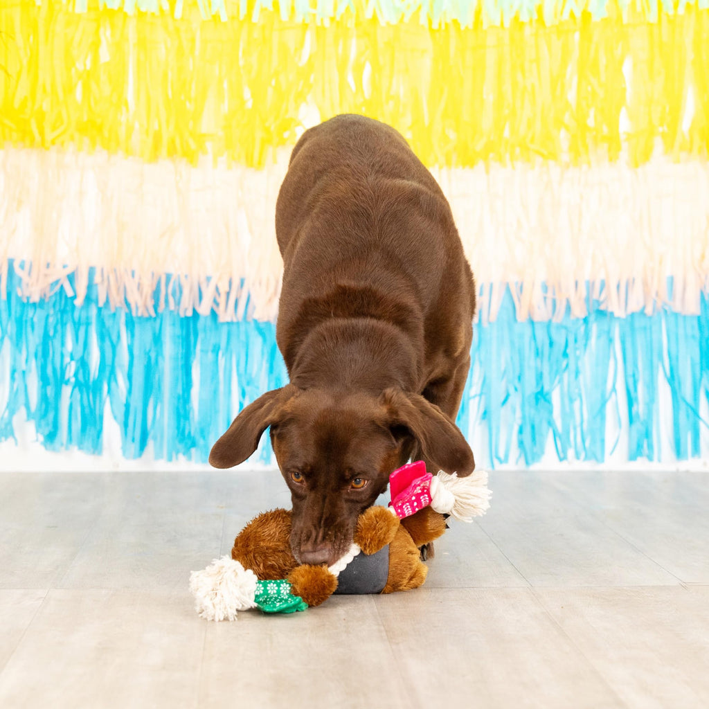 Plush Dog Toy R243