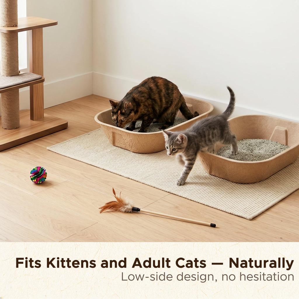 Disposable Litter Box for Kittens V3275