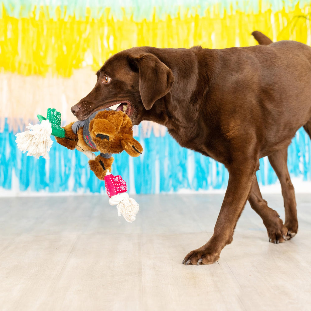 Plush Dog Toy R243