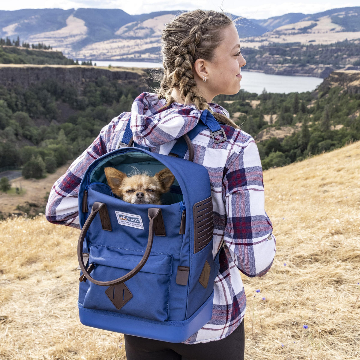 Red Carrier Backpack C225622